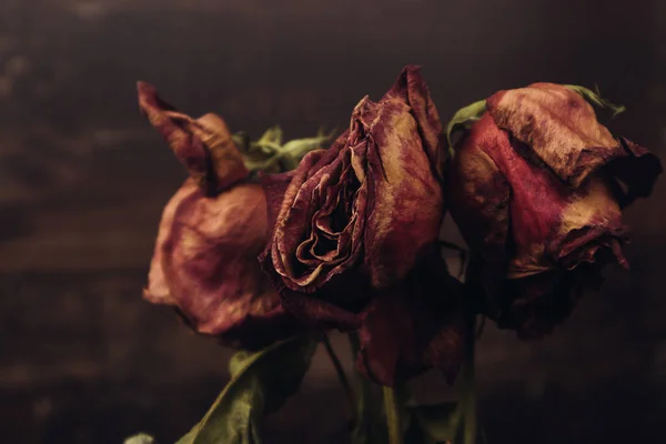 Букет красных сухих сухих роз на коричневом фоне. — стоковое фото
