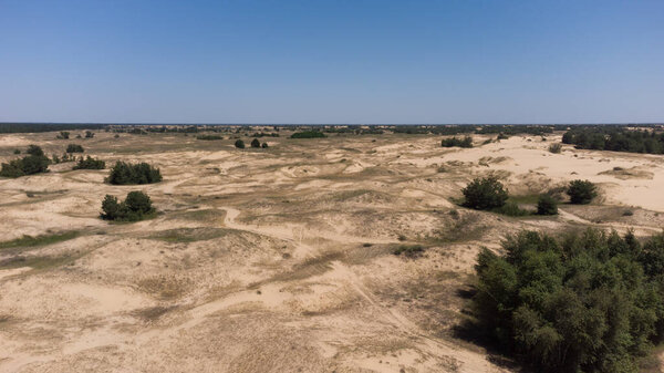 Желтые песчаные дюны в пустыне с кустами и деревьями. Крупнейшая пустыня Европы Олешковский песок, Украина