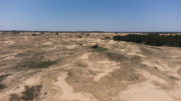 Желтые песчаные дюны в пустыне с кустами и деревьями. Самая большая пустыня в Европе Олешковский песок. Украина