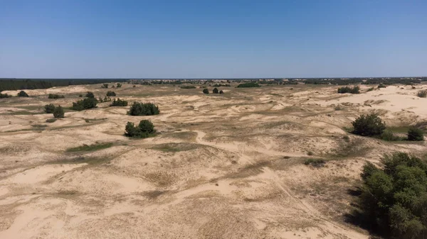 Dunas de areia amarela no deserto com arbustos e árvores. O maior deserto da Europa - Areias Oleshkovsky. Ucrânia Imagens De Bancos De Imagens Sem Royalties
