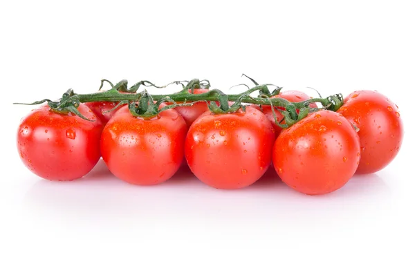 Dojrzałe pomidory cherry z rosy — Zdjęcie stockowe
