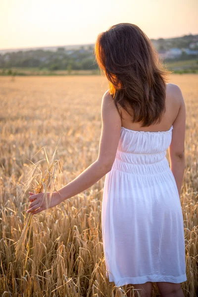 Dívka drží uši pšenice v poli při západu slunce Royalty Free Stock Fotografie