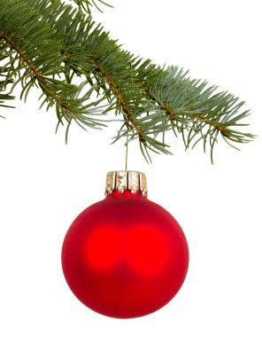 Red Christmas toy on a branch