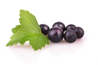 Beyaz arkaplanda siyah frenk üzümü