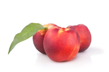 yaprak taze olgun şeftali