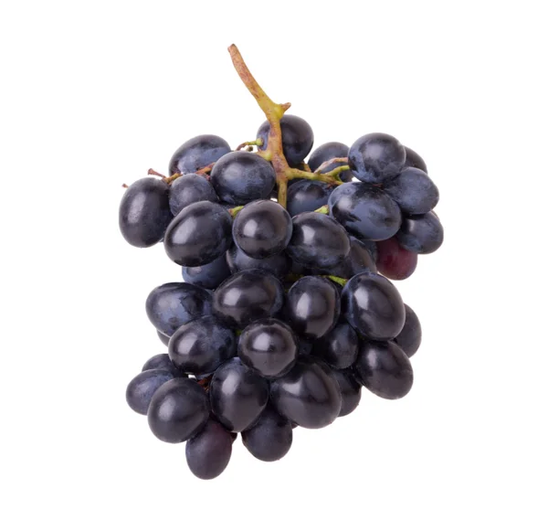 Uvas de vino tinto — Foto de Stock