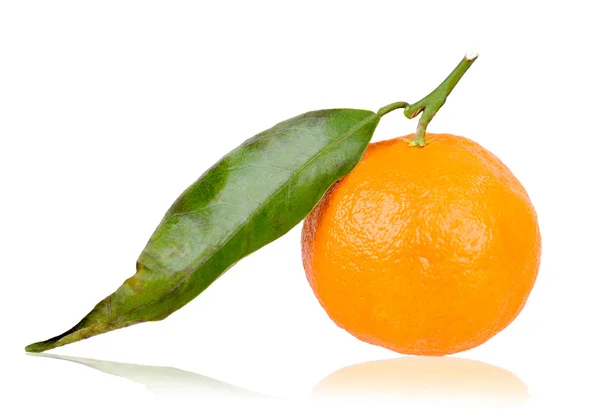 Freshly picked mandarin — Stock Photo, Image