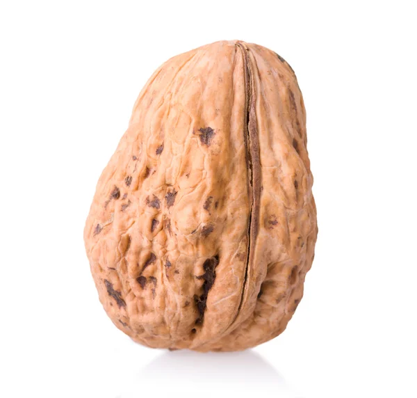 Large walnut — Stock Photo, Image