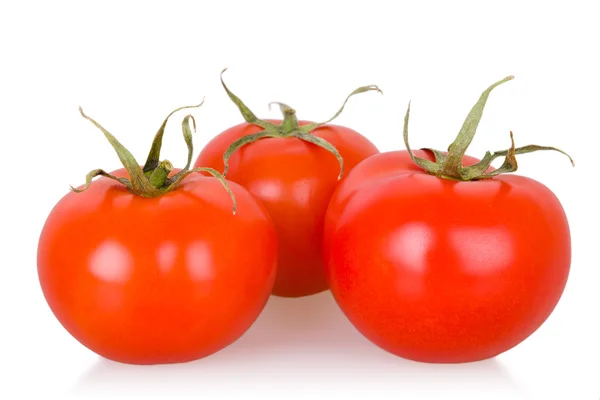 Reife isolierte Tomaten — Stockfoto