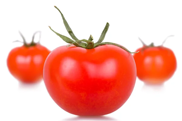 Ripe isolated tomatoes — 图库照片