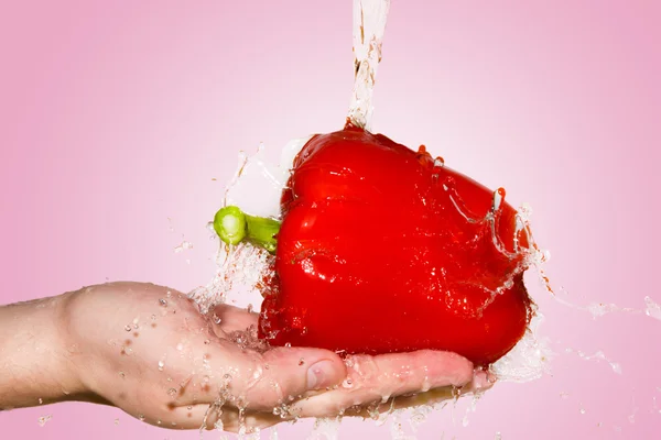 Splash with red pepper lying in hand