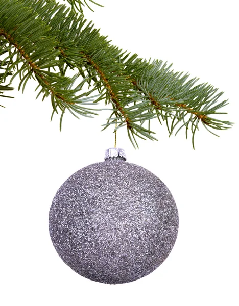 Silver Christmas toy on a branch — Stok fotoğraf