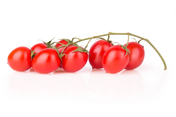Pomodori ciliegia freschi — Foto Stock