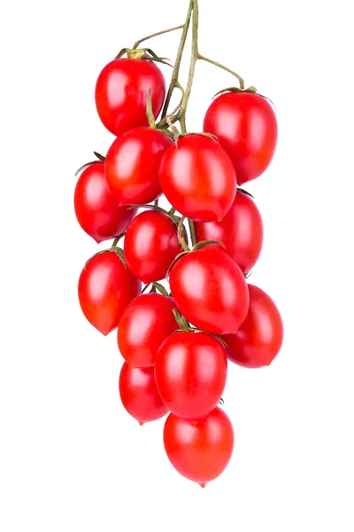 Tomates cherry colgantes — Foto de Stock