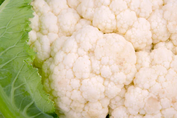 Background of cauliflower — Stock Photo, Image