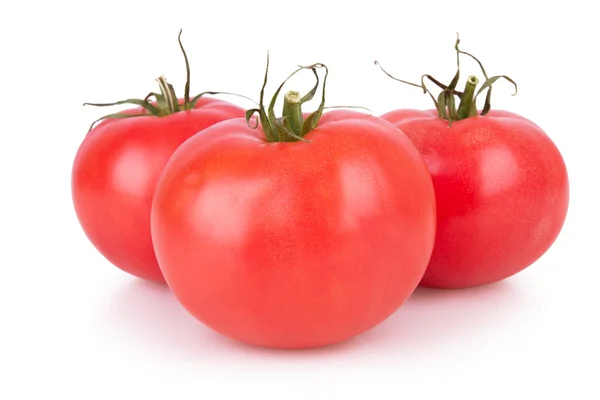 Drei reife Tomaten isoliert — Stockfoto