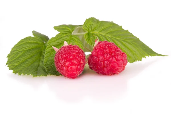 Two ripe raspberries with leaves — Stock Photo, Image