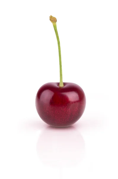 One ripe cherry — Stock Photo, Image