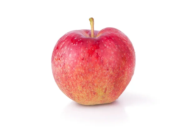 Red ripe apple on a white background — Stock Photo, Image