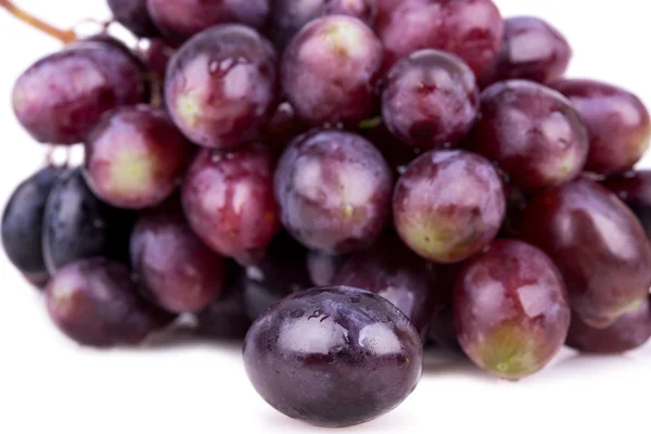 Beere von rosa Trauben — Stockfoto