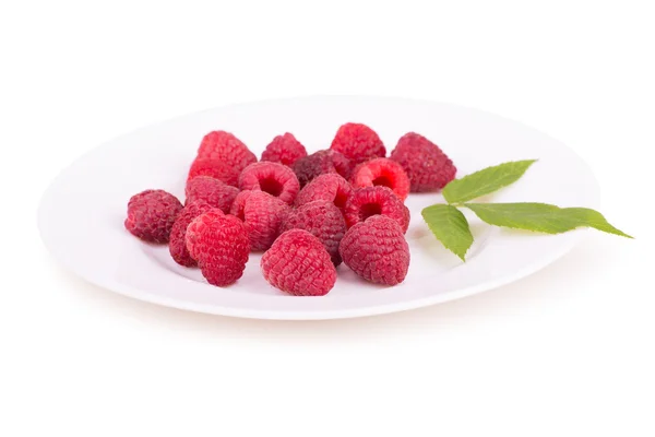 Raspberries on a white plate — Stock Photo, Image