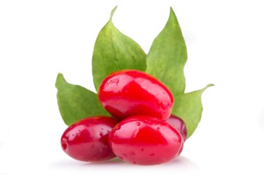 some dogwood berries with leaves