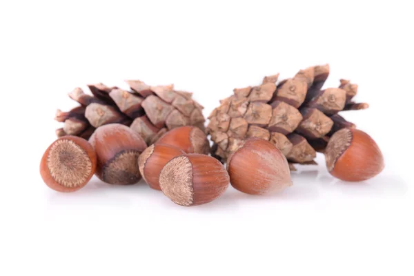 Hazelnuts with cones — Stock Fotó