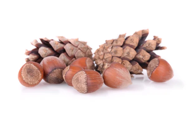 Hazelnuts with cones Royalty Free Stock Images