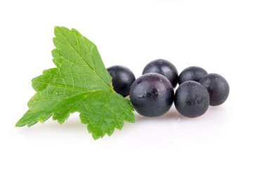black currant berries with leaves