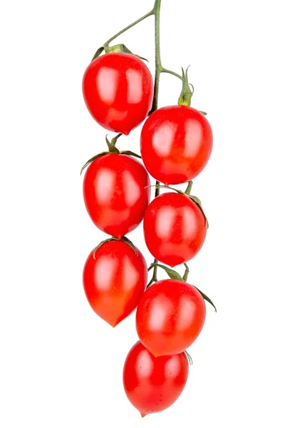 Fresh ripe cherry tomatoes — Stockfoto