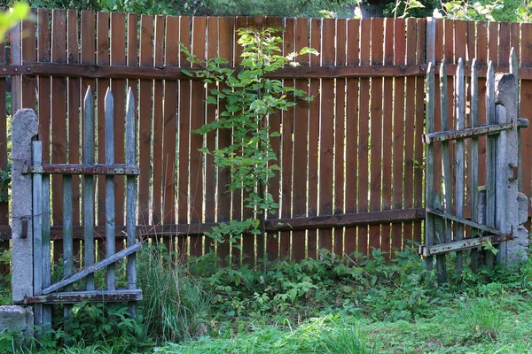 Régi Kapu Háttérben Egy Kerítés Egy Furcsa Környéken — Stock Fotó