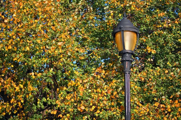 Vintage Lamp Autumn Colored Trees — Stock Photo, Image