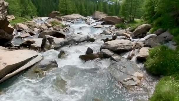 이탈리아 알프스산맥의 흐르는 차가운 강물을 배경으로 프레다 알프스산맥 — 비디오