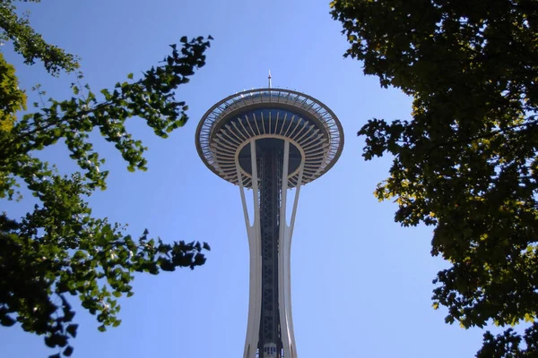 Spectacular Space Needle Trees Seattle — Stock Photo, Image