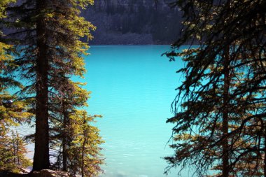 Kanada 'daki Banff Ulusal Parkı' nda Louise Gölü 'nün sularındaki turkuazın tüm tonları