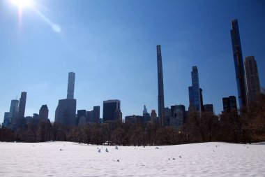 New York 'taki Central Park' ta kış manzarasında büyük kartopları.