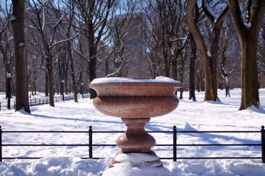 New York 'taki parkın kış karında mermer bir vazo.