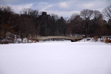 Karla kaplı göletin üzerindeki yay köprü Central Park 'ta dramatik bir gökyüzü ile kaplı.