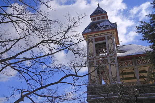 Ένας Έγχρωμος Πύργος Του Κάστρου Belvedere Στο Central Park Στη — Φωτογραφία Αρχείου
