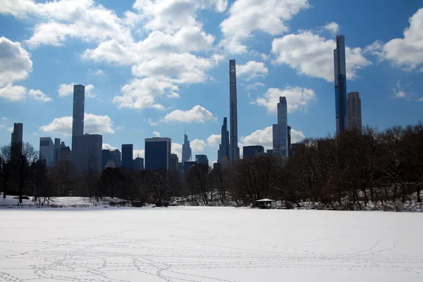 Ett Vykort Från Central Park Kall Vinter New York — Stockfoto