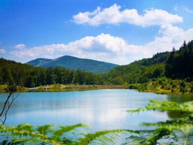 Dalların ve yaprakların arasında bir göl ve dağlar.