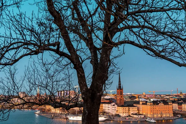 Stockholm 'ün Eski Kasabası' nın manzaralı akşam manzarası. Önplan ağacı — Stok fotoğraf