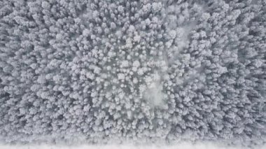 İnsansız hava aracından hava manzarası, kuş bakışı kış manzarası ve karlı buz yolu, güzel kozalaklı orman 4k ile çevrili bölgede hareket eden araba.