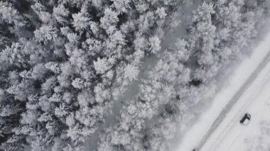 İnsansız hava aracından hava manzarası, kuş bakışı kış manzarası ve karlı buz yolu, güzel kozalaklı orman 4k ile çevrili bölgede hareket eden araba.