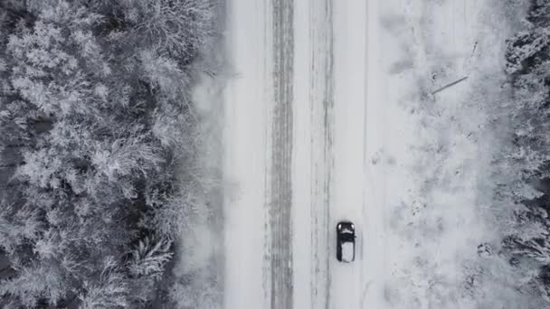 Widok z lotu ptaka z drona, widok z lotu ptaka na zimowy krajobraz i śnieżną drogę lodową, samochód poruszający się po okolicy otoczony pięknym lasem iglastym 4k — Wideo stockowe