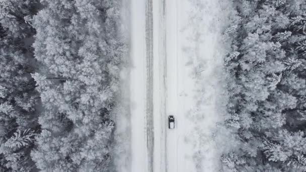 Vista aerea dall'alto dal drone, vista a volo d'uccello del paesaggio invernale e della strada ghiacciata innevata, auto che si muove su un'area circondata da una bellissima foresta di conifere 4k — Video Stock