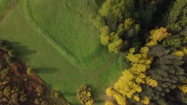 Aldeia numa colina na floresta, disparo de drones. Casas de madeira típicas de um bar. Quente dia ensolarado, paisagem de verão. Gramado verde liso, verdadeira natureza — Vídeo de Stock