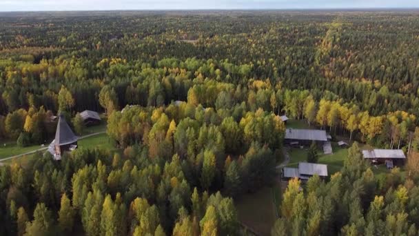 Verão, início do outono na vista aérea superior da floresta. Floresta mista, coníferas verdes, árvores caducas, bosques rurais. Drone acima da textura colorida na natureza — Vídeo de Stock