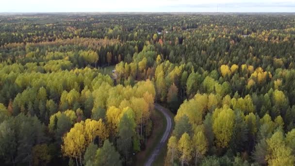 Verão, início do outono na vista aérea superior da floresta. Floresta mista, coníferas verdes, árvores caducas, bosques rurais. Drone acima da textura colorida na natureza — Vídeo de Stock