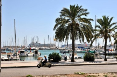 Palma de Mallorca 'daki marina, kaldırımında palmiye ağaçları ve arka planında yolcu gemisi olan.